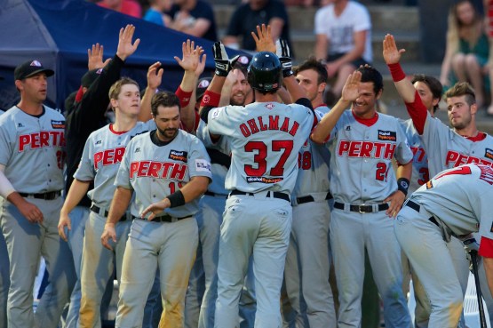 #7 Michael Ohlman of the Perth Heat (Photo by Ryan Schembri / SMP Images)
